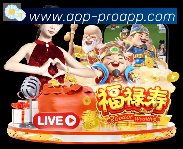 多彩内容专区